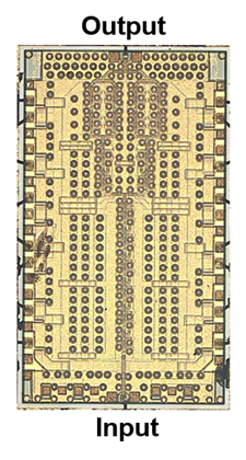 (a) Microscope Image of Amplifier IC