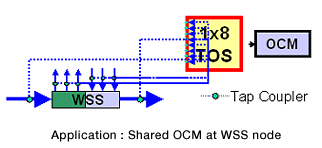 Application:Shared OCM at WSS node