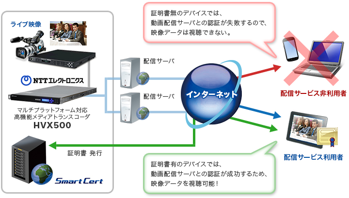 映像配信イメージ