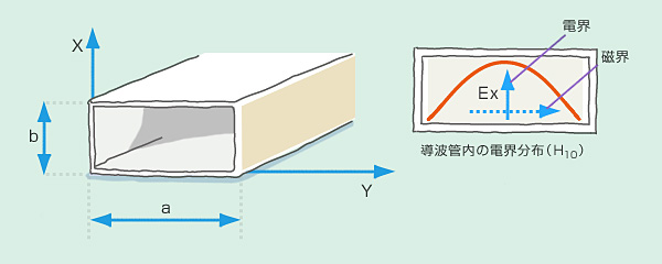 導波管内の電界分布の概要図